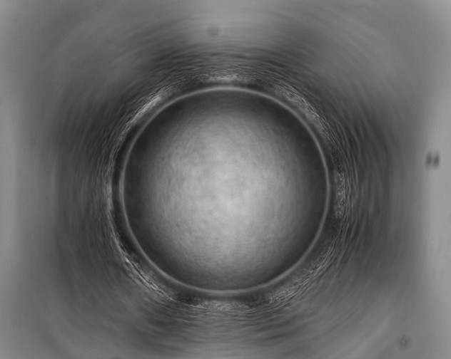 X0000100950482200807011312