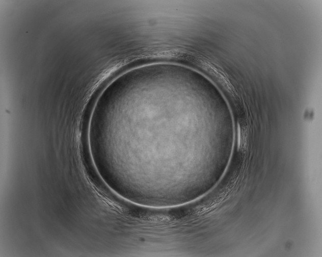 X0000100950483200807011312