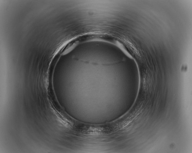 X0000100950484200807011312