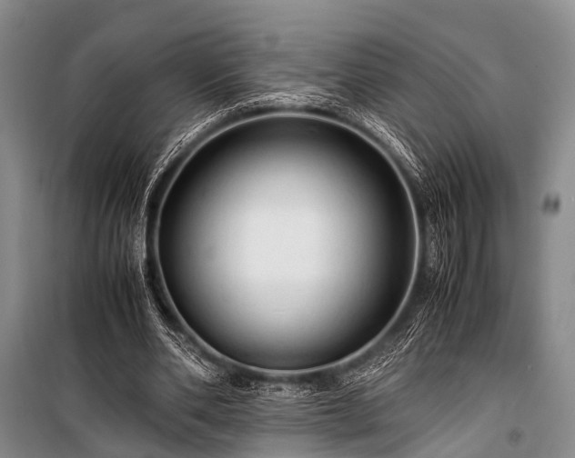 X0000100950486200807011312