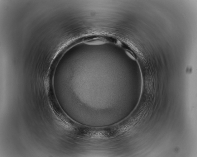X0000100950488200807011312