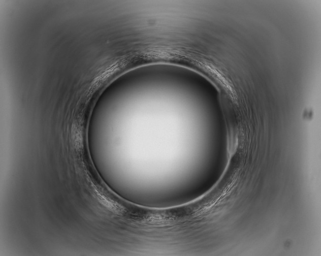 X0000100950489200807011312