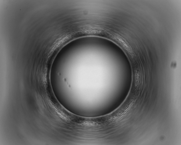 X0000100950490200807011312