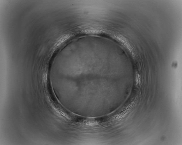 X0000100950491200807011312