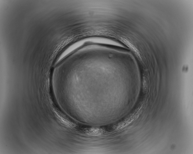 X0000100950493200807011312