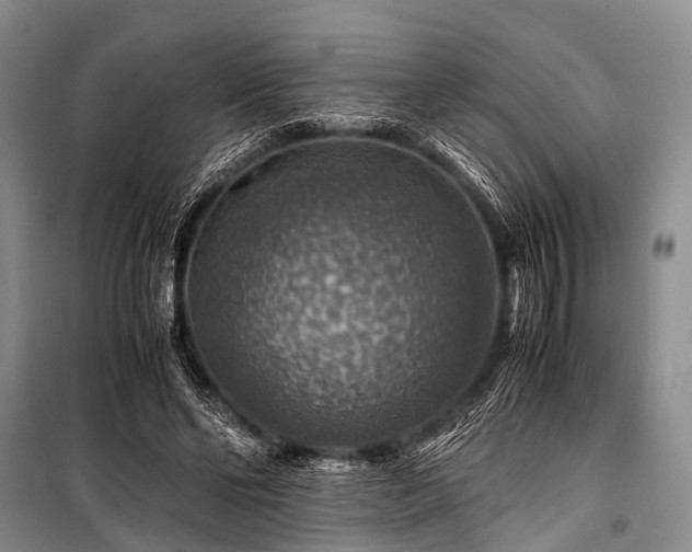 X0000100950494200807011312