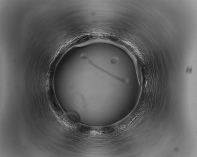 X0000100950496200807011312