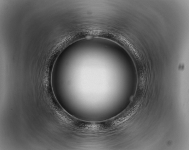 X0000100950497200807011312