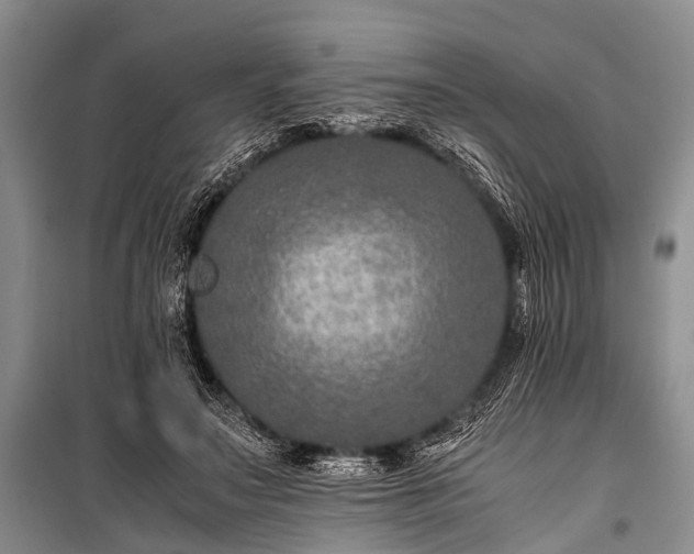 X0000100950499200807011312