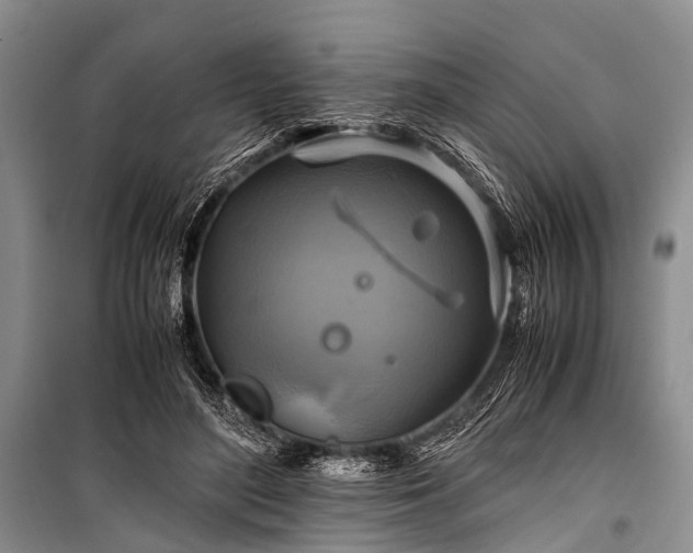 X0000100950500200807011312