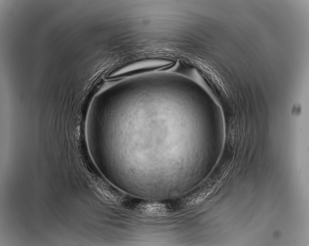 X0000100950501200807011312