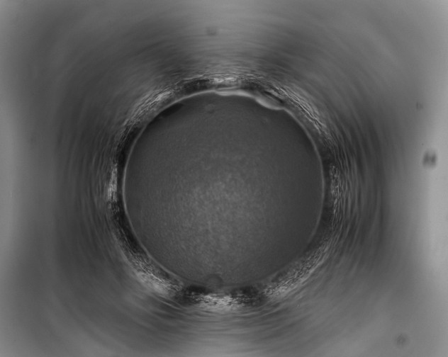 X0000100950502200807011312