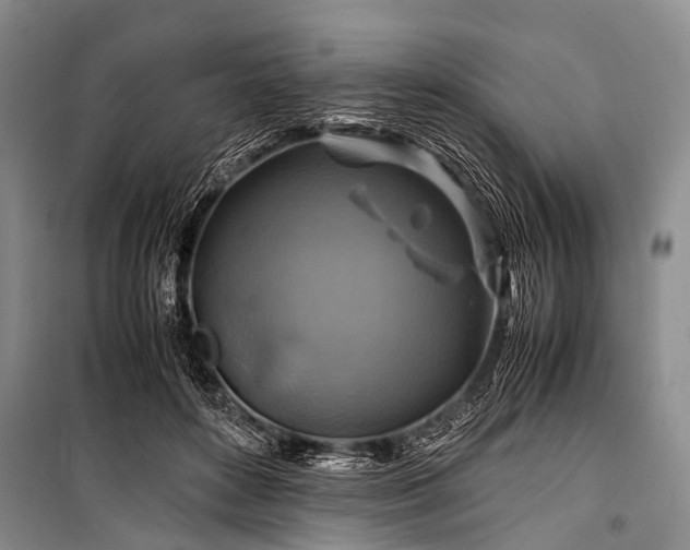 X0000100950504200807011312