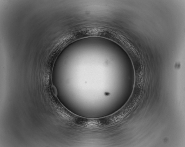 X0000100950505200807011312