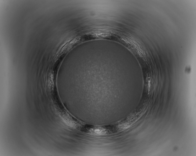 X0000100950506200807011312
