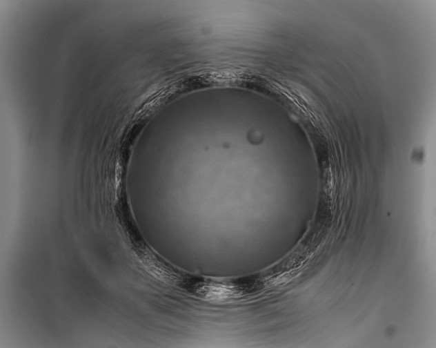 X0000100950507200807011312
