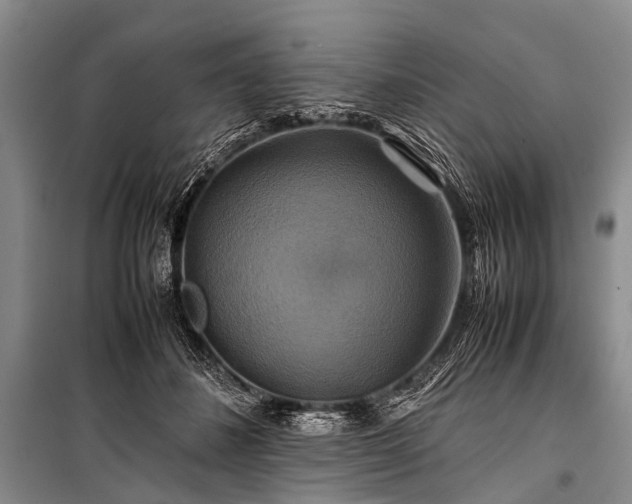 X0000100950508200807011312