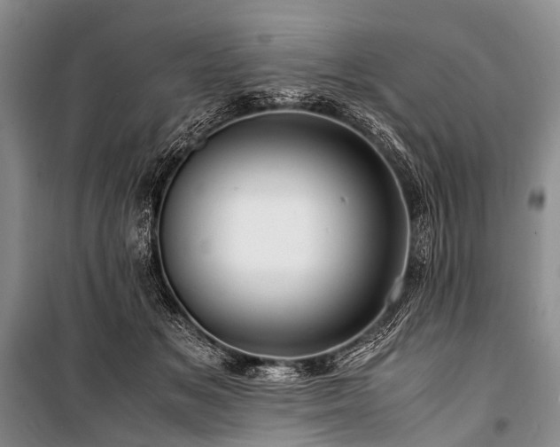 X0000100950509200807011312