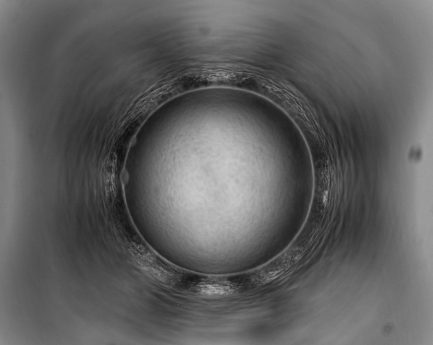 X0000100950510200807011312