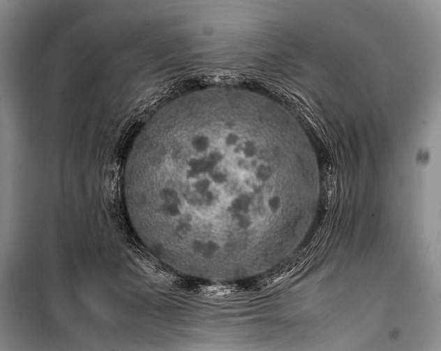 X0000100950511200807011312
