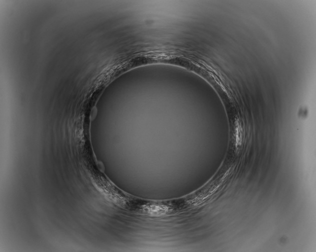 X0000100950512200807011312