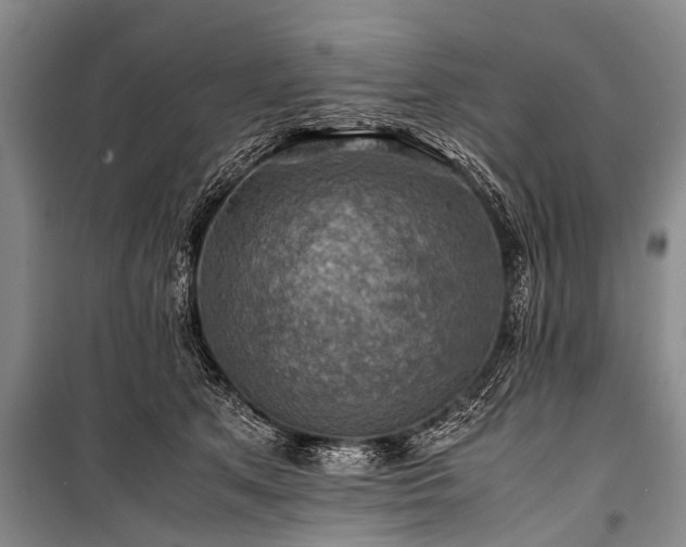 X0000100950513200807011312