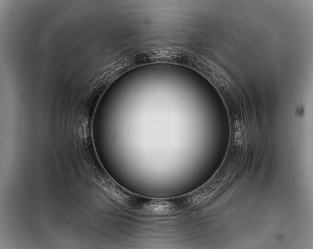 X0000100950514200807011312