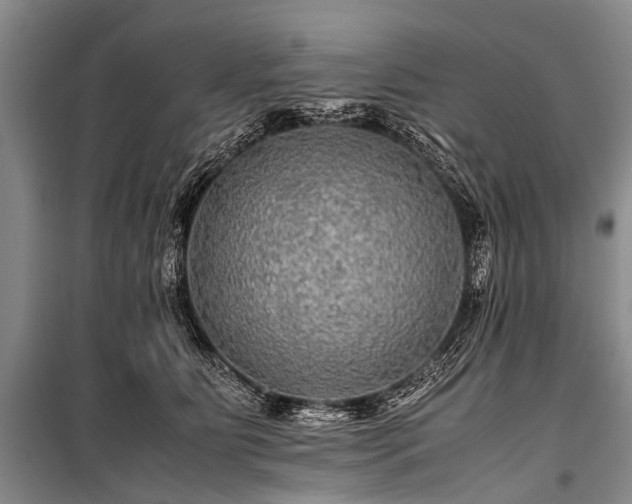 X0000100950515200807011312