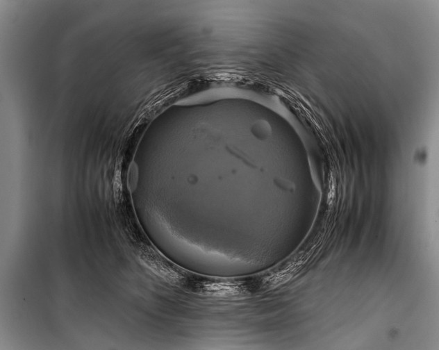 X0000100950516200807011312
