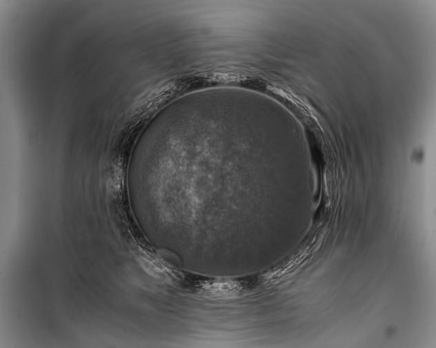 X0000100950517200807011312