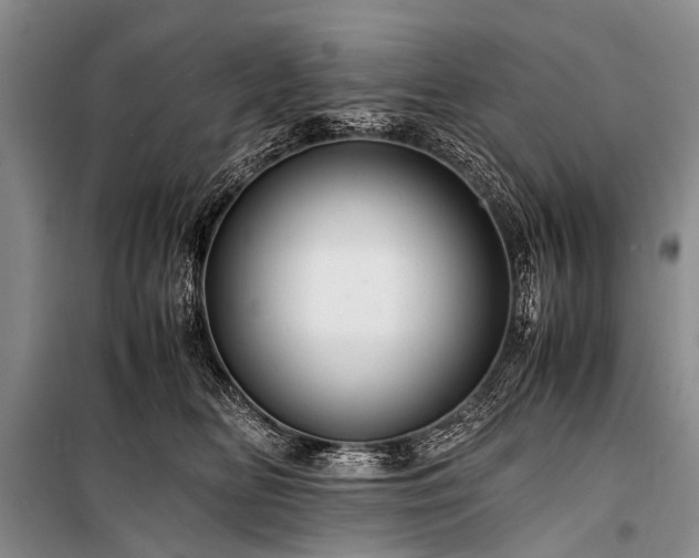 X0000100950518200807011312