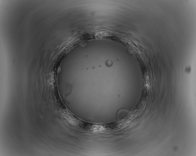 X0000100950519200807011312