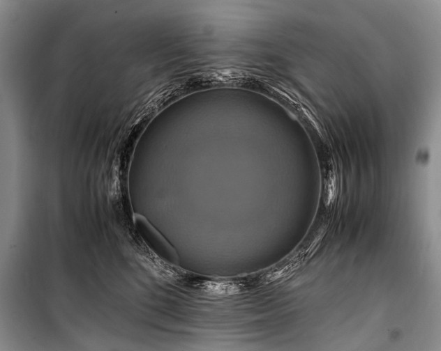 X0000100950520200807011312