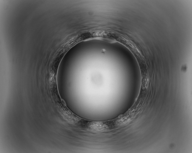X0000100950521200807011312