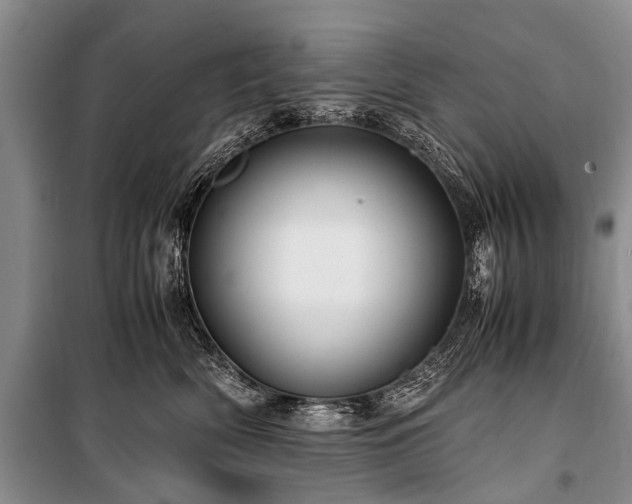 X0000100950522200807011311
