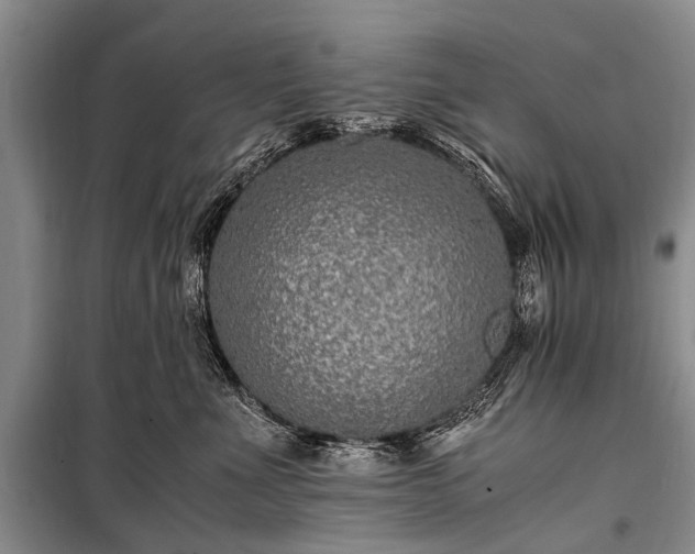 X0000100950523200807011311