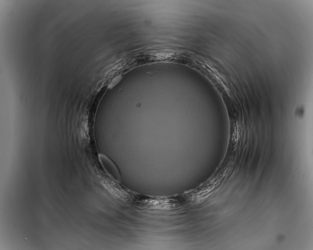 X0000100950524200807011311