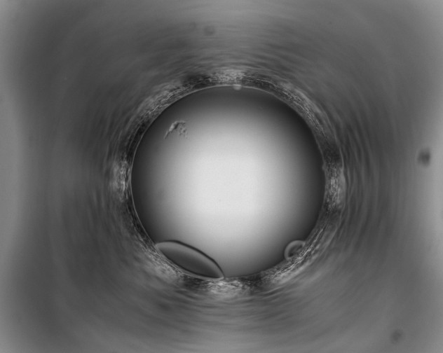 X0000100950525200807011311