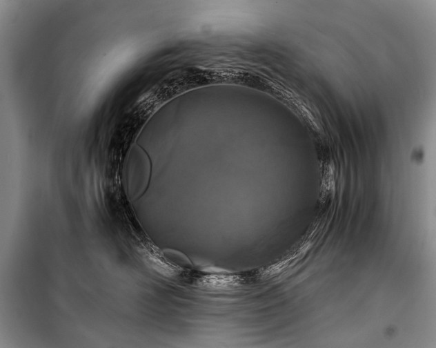 X0000100950526200807011311