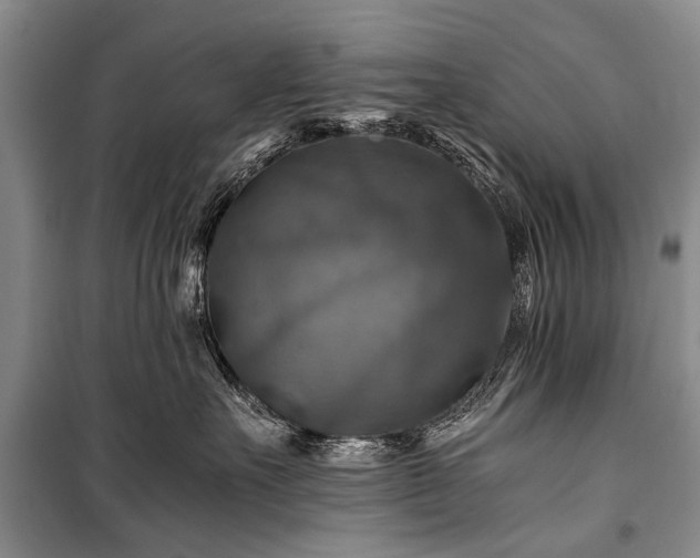 X0000100950527200807011311