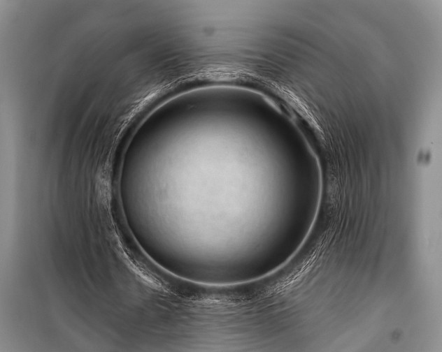 X0000100950530200807011311