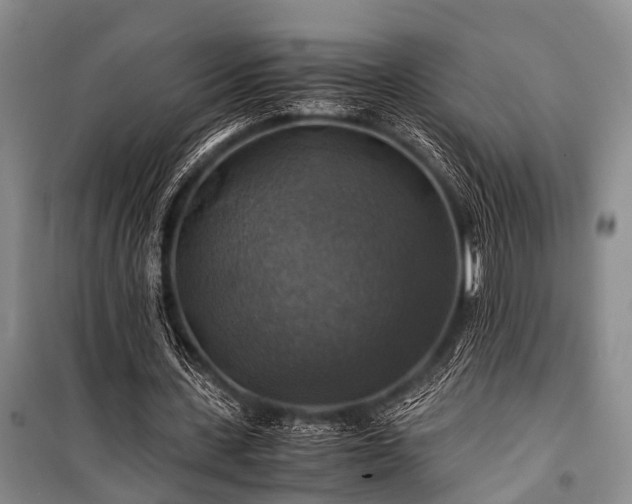 X0000100950531200807011311