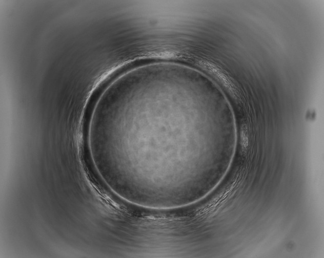 X0000100950532200807011311