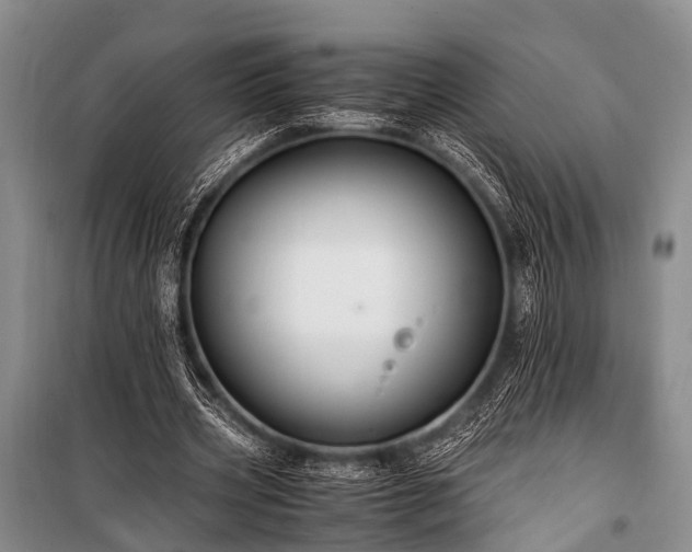 X0000100950533200807011311