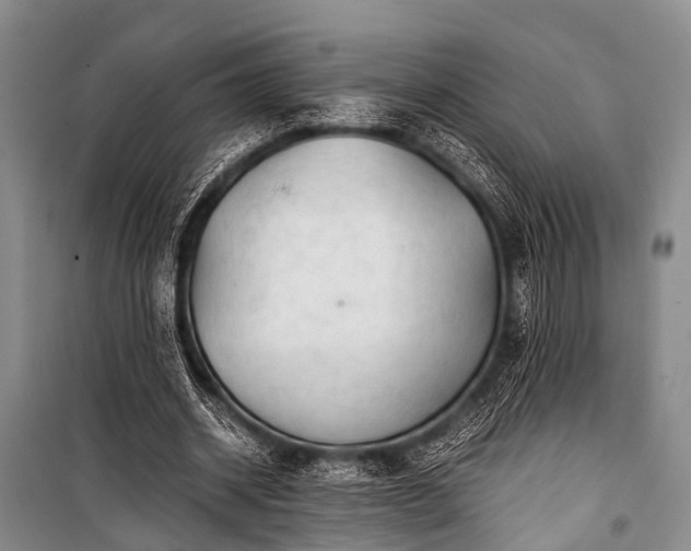 X0000100950534200807011311