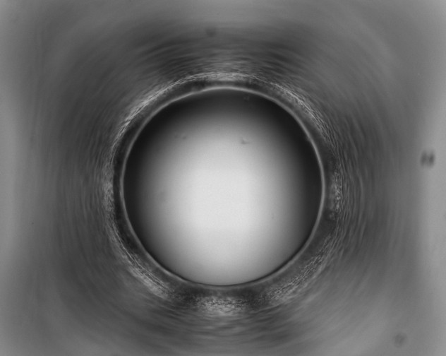 X0000100950535200807011311