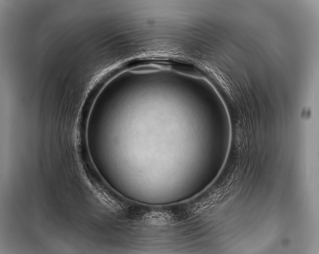 X0000100950536200807011311