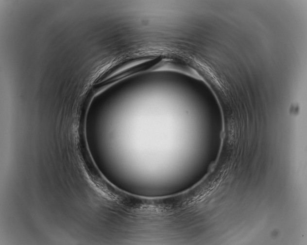 X0000100950538200807011311