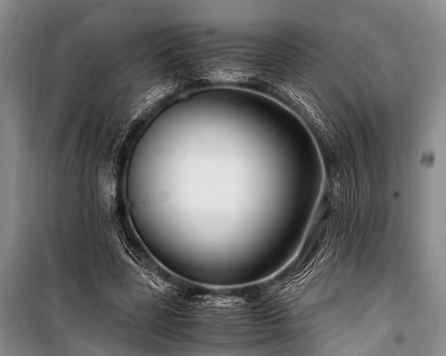 X0000100950539200807011311