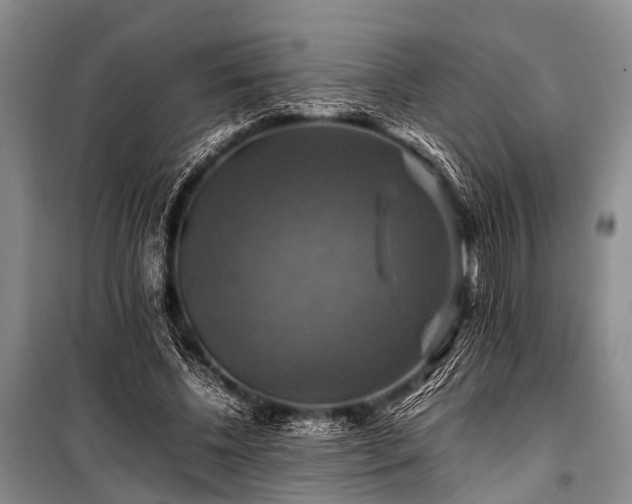 X0000100950540200807011311